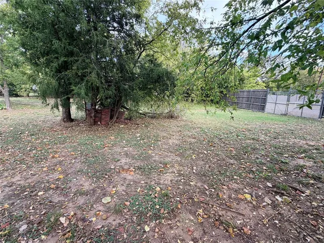 a view of a forest with trees in the background