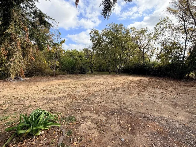 a view of a yard with a trees