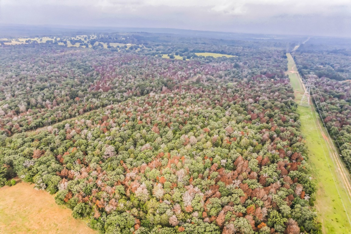 1360 Sand Hills Road, Unit A Red Rock, TX 78662 - Photo 5 of 19