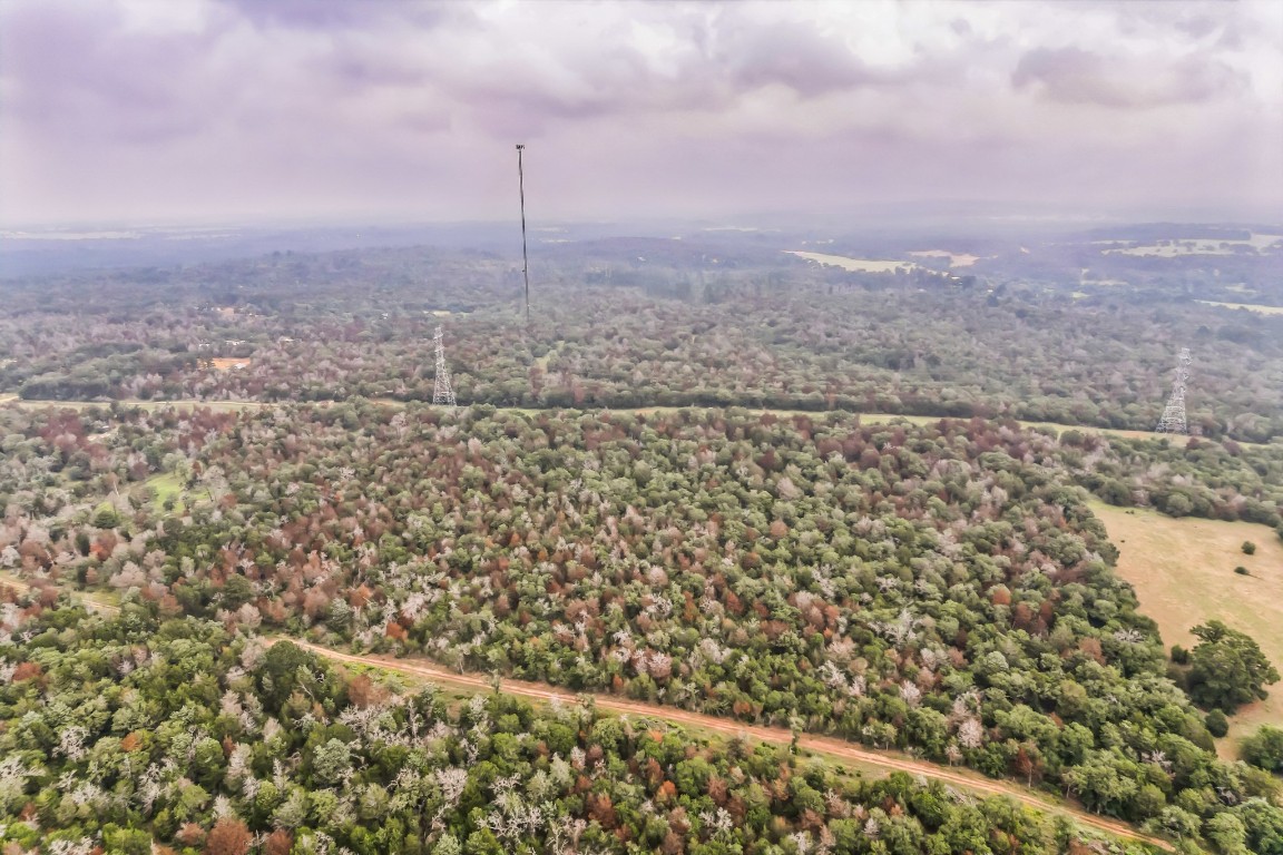 1360 Sand Hills Road, Unit A Red Rock, TX 78662 - Photo 10 of 19