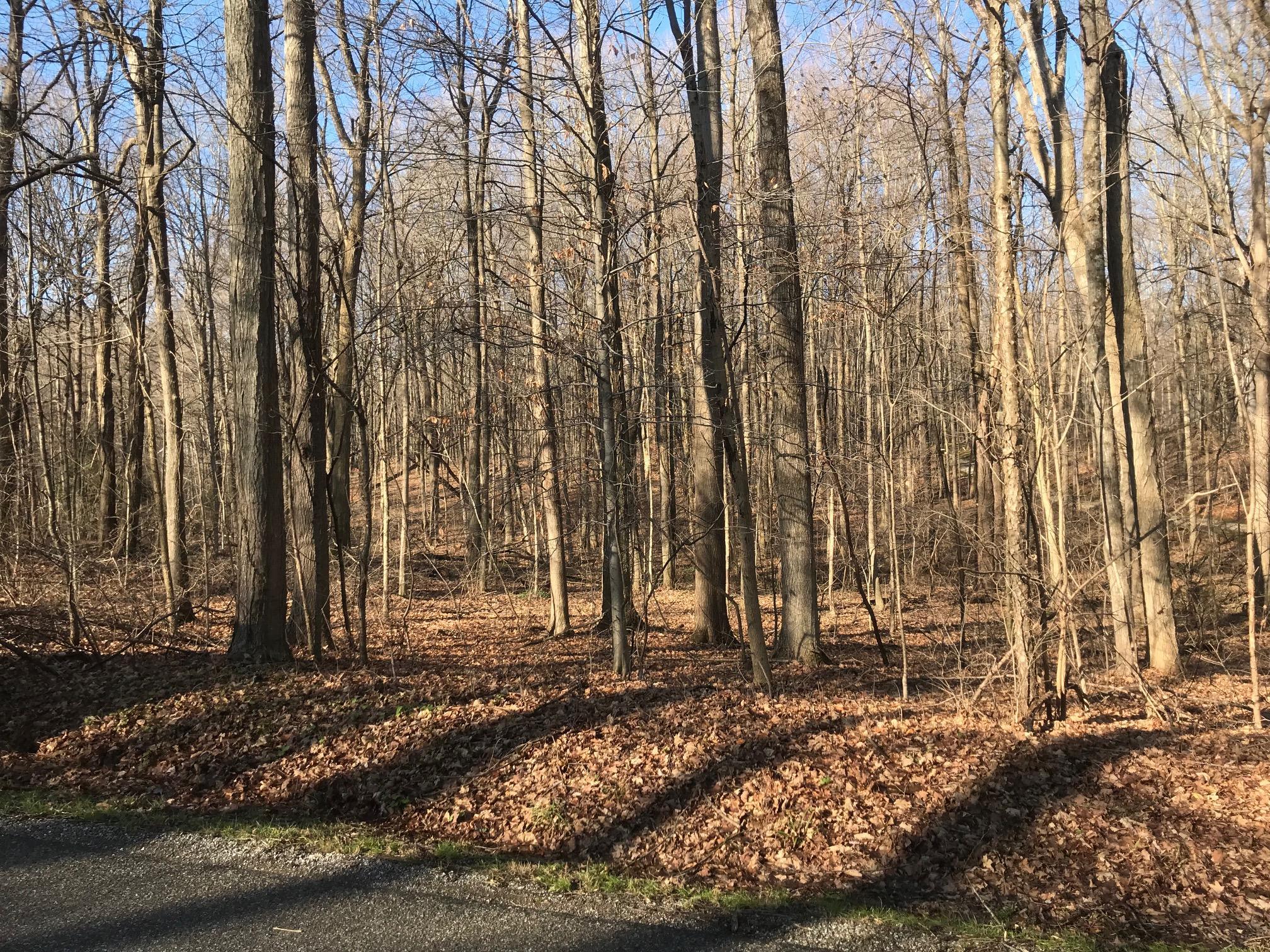 0 Chatham Road Granville, OH 43023 - Photo 2 of 6