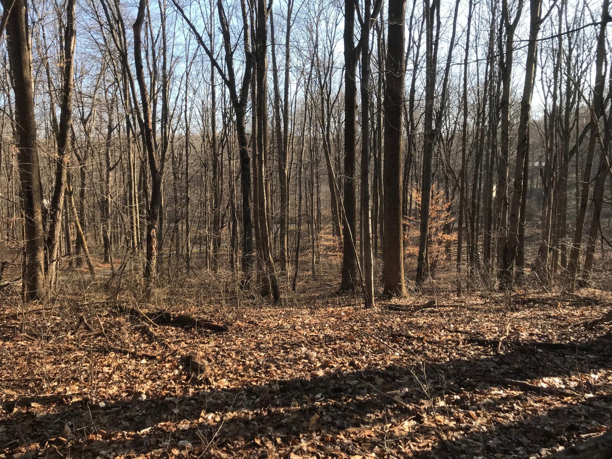 0 Chatham Road Granville, OH 43023 - Photo 5 of 6