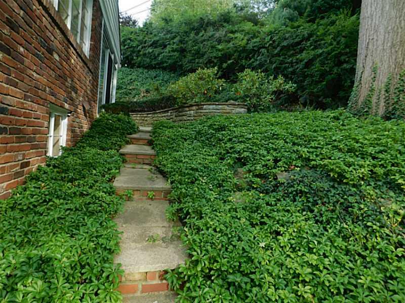 701 Pinetree Road Mt. Lebanon, PA 15243 - Photo 22 of 25 Yard/Garden.