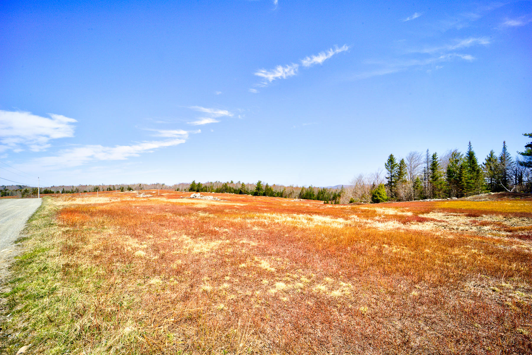 Lot 27 Leach Road Penobscot, ME 04476 - Photo 7 of 16 8
