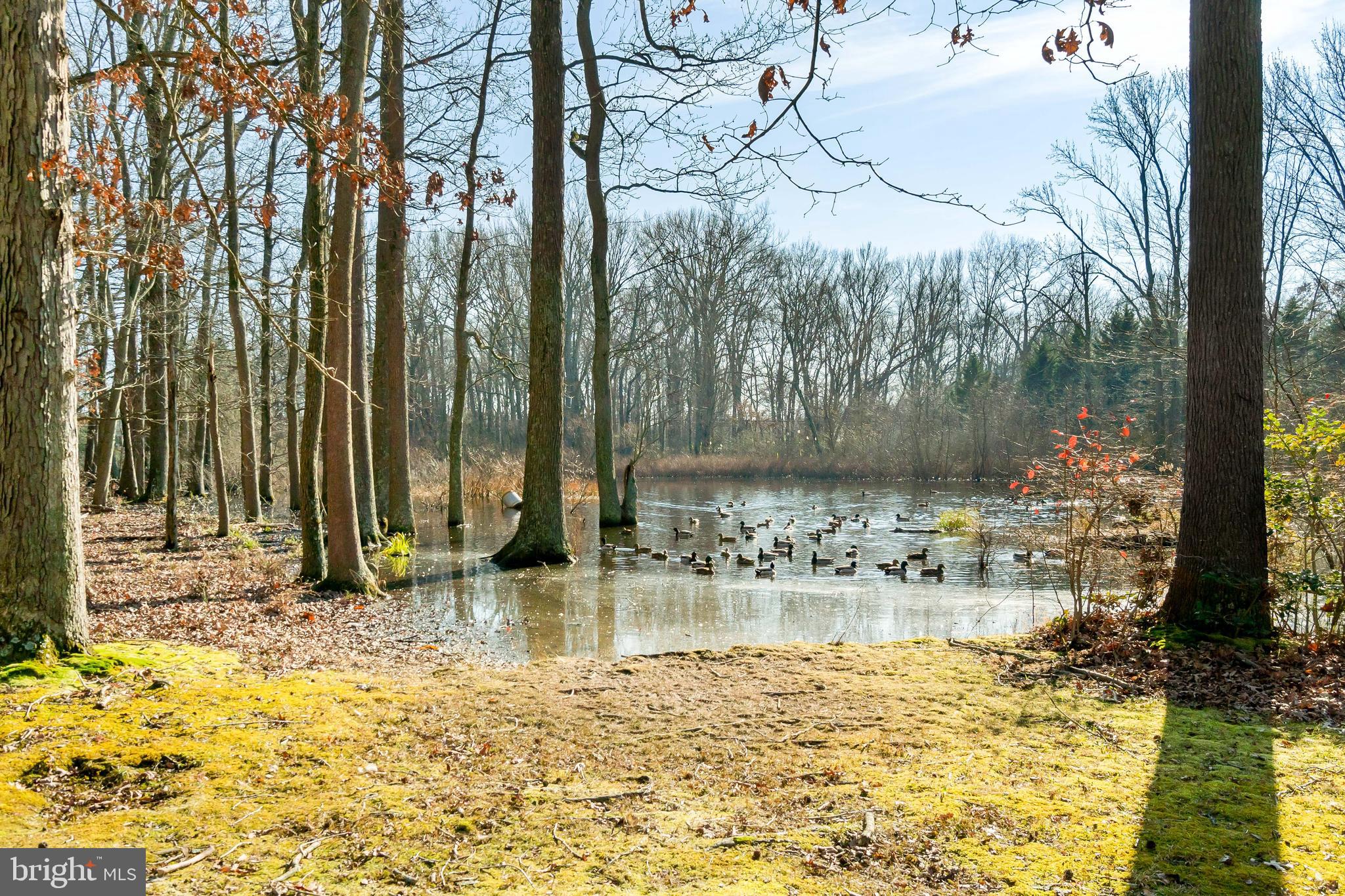 60 Razor Strap Road North East, MD 21901 - Photo 22 of 27 OVERLOOKS THE POND