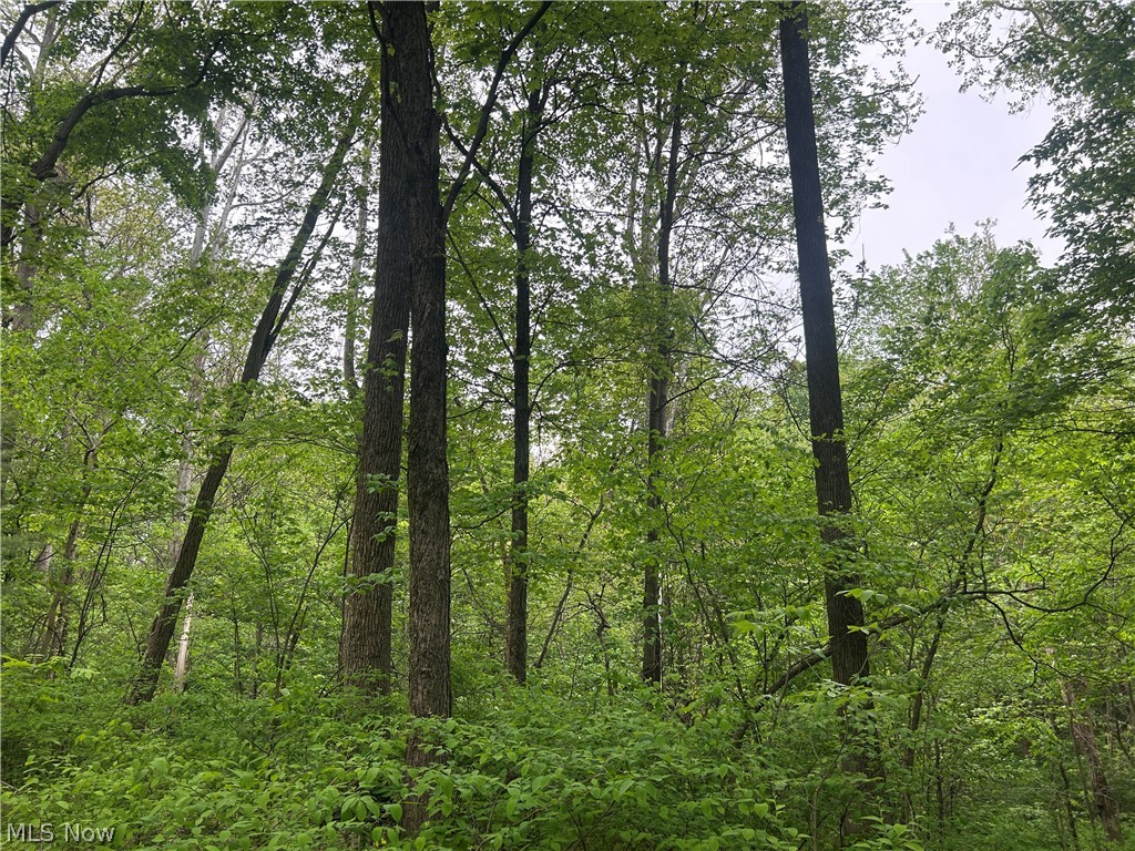 Wesley Chapel Mount Mount Perry, OH 43760 - Photo 2 of 15