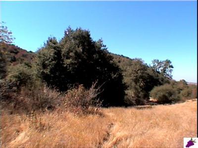 0 Greenhill Road Squaw Valley, CA 93675 - Photo 2 of 5 Gallery Image 2