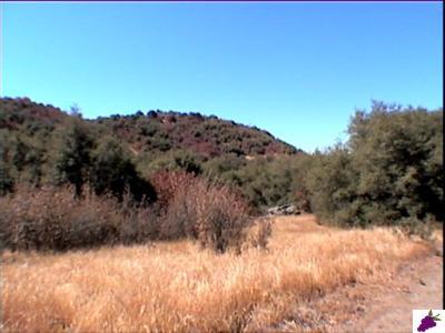 0 Greenhill Road Squaw Valley, CA 93675 - Photo 3 of 5 Gallery Image 3