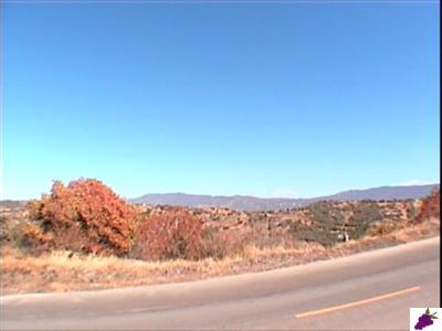 0 Greenhill Road Squaw Valley, CA 93675 - Photo 5 of 5 Gallery Image 5