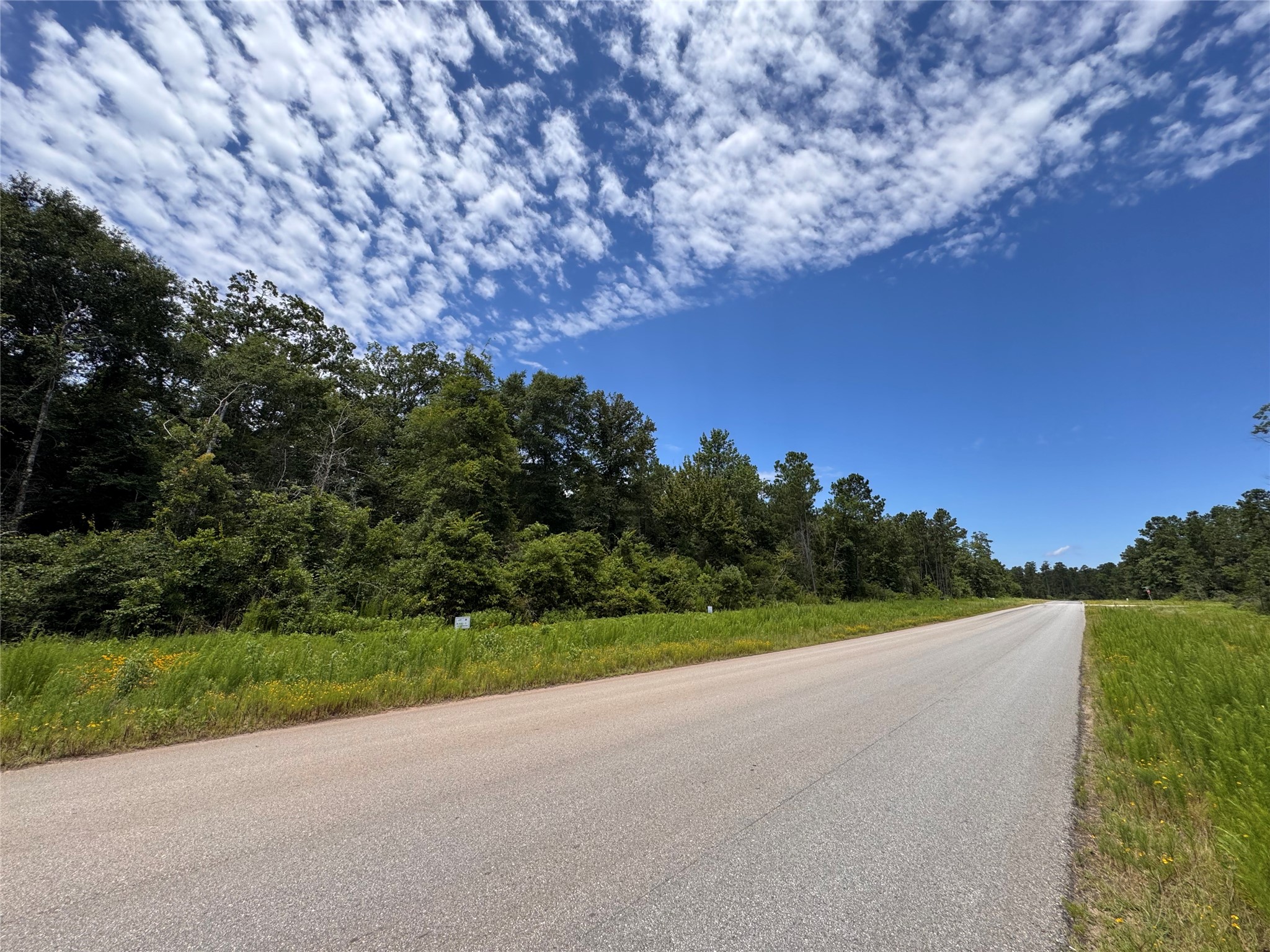 11706 Grand N Road Willis, TX 77378 - Photo 2 of 24