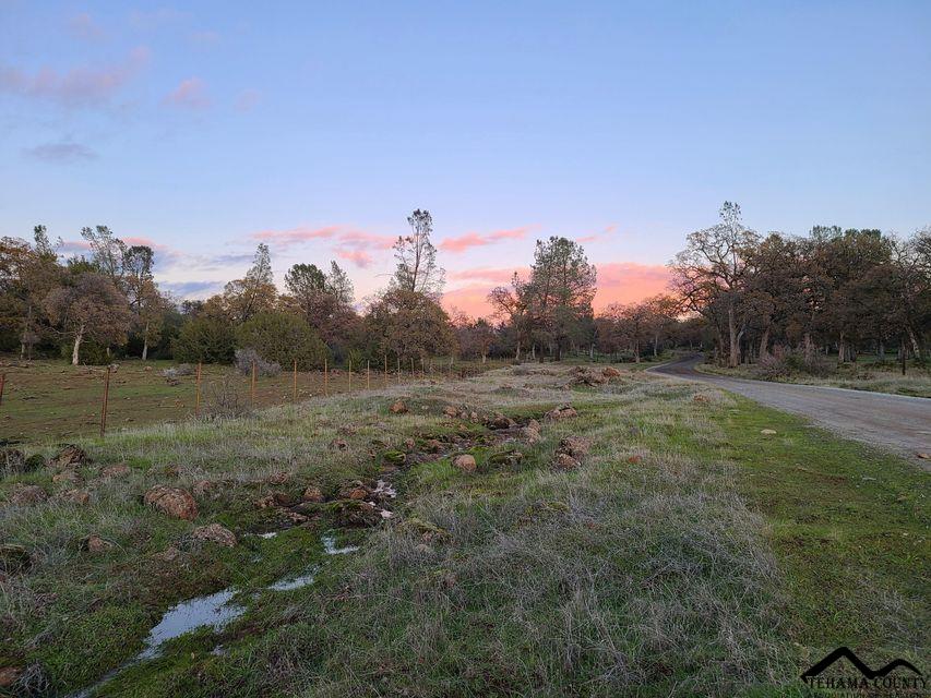 Battle Creek Bottom Road Manton, CA 96059 - Photo 8 of 27 Gallery Image 8