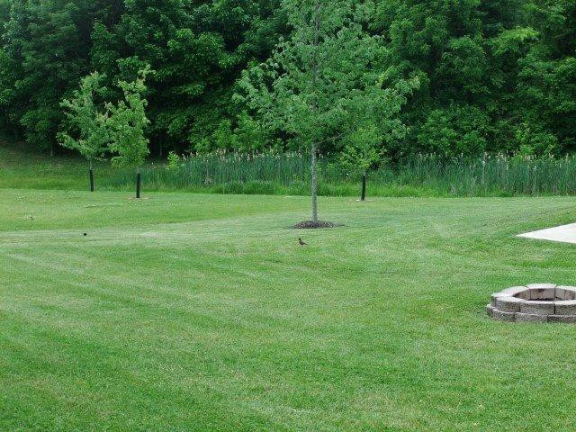 116 Fallow Circle Georgetown, KY 40324 - Photo 7 of 48 Photo 7