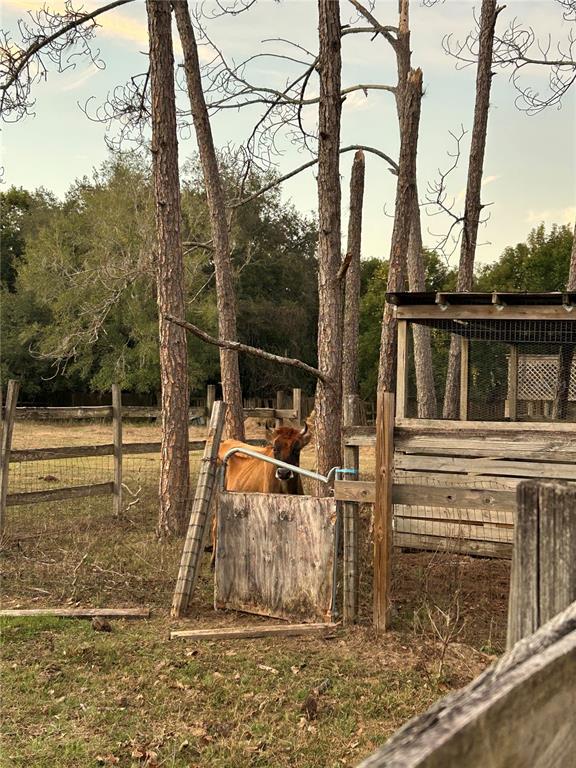 3633 Apfel Road Wesley Chapel, FL 33543 - Photo 16 of 30