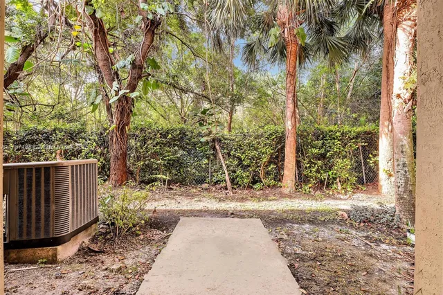 a view of a pathway of a yard with plants and trees