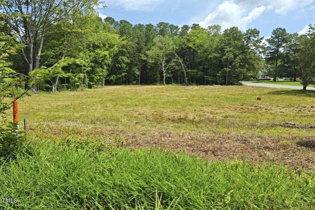 a view of a field with trees in the background