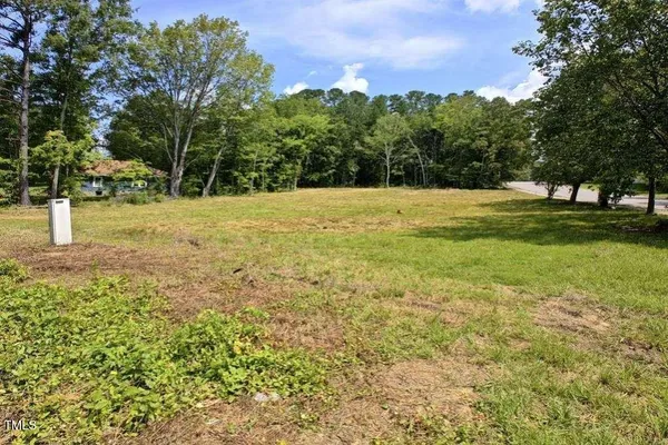 a view of a yard with a tree