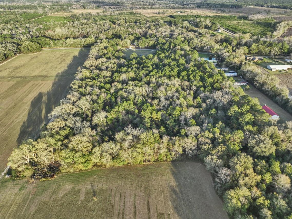 3645 Glory Road Quincy, FL 32352 - Photo 4 of 26