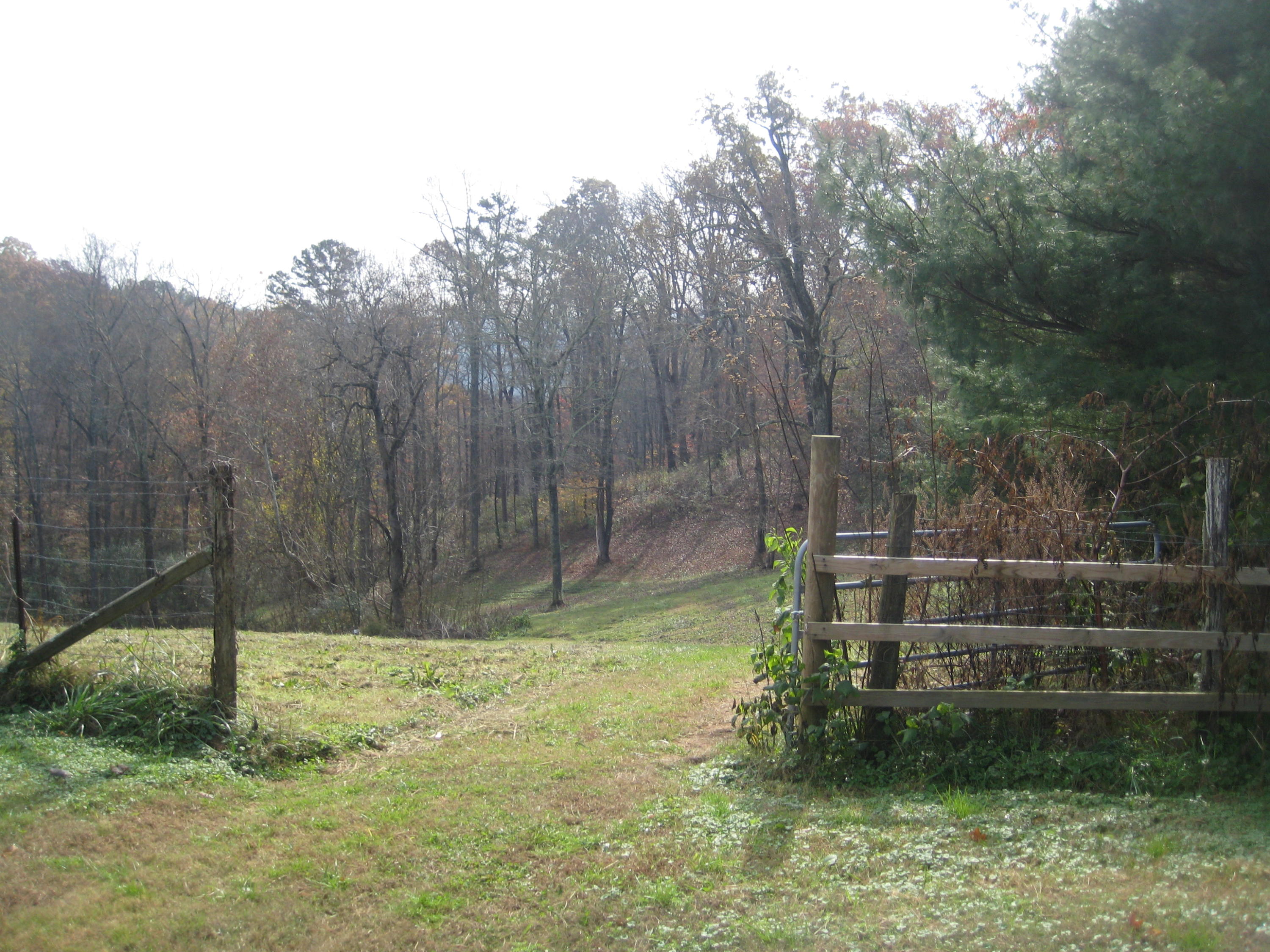 080.02 Farmer's Hollow Road Clinton, TN 37716 - Photo 1 of 4 IMG_0001