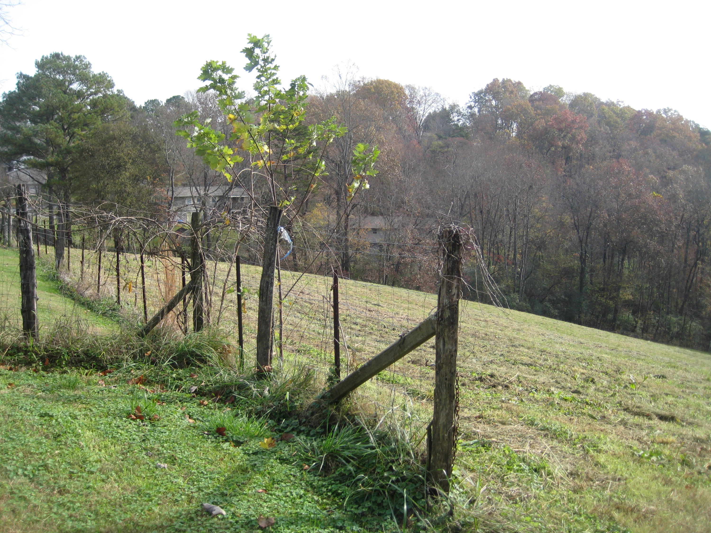 080.02 Farmer's Hollow Road Clinton, TN 37716 - Photo 2 of 4 IMG_0003