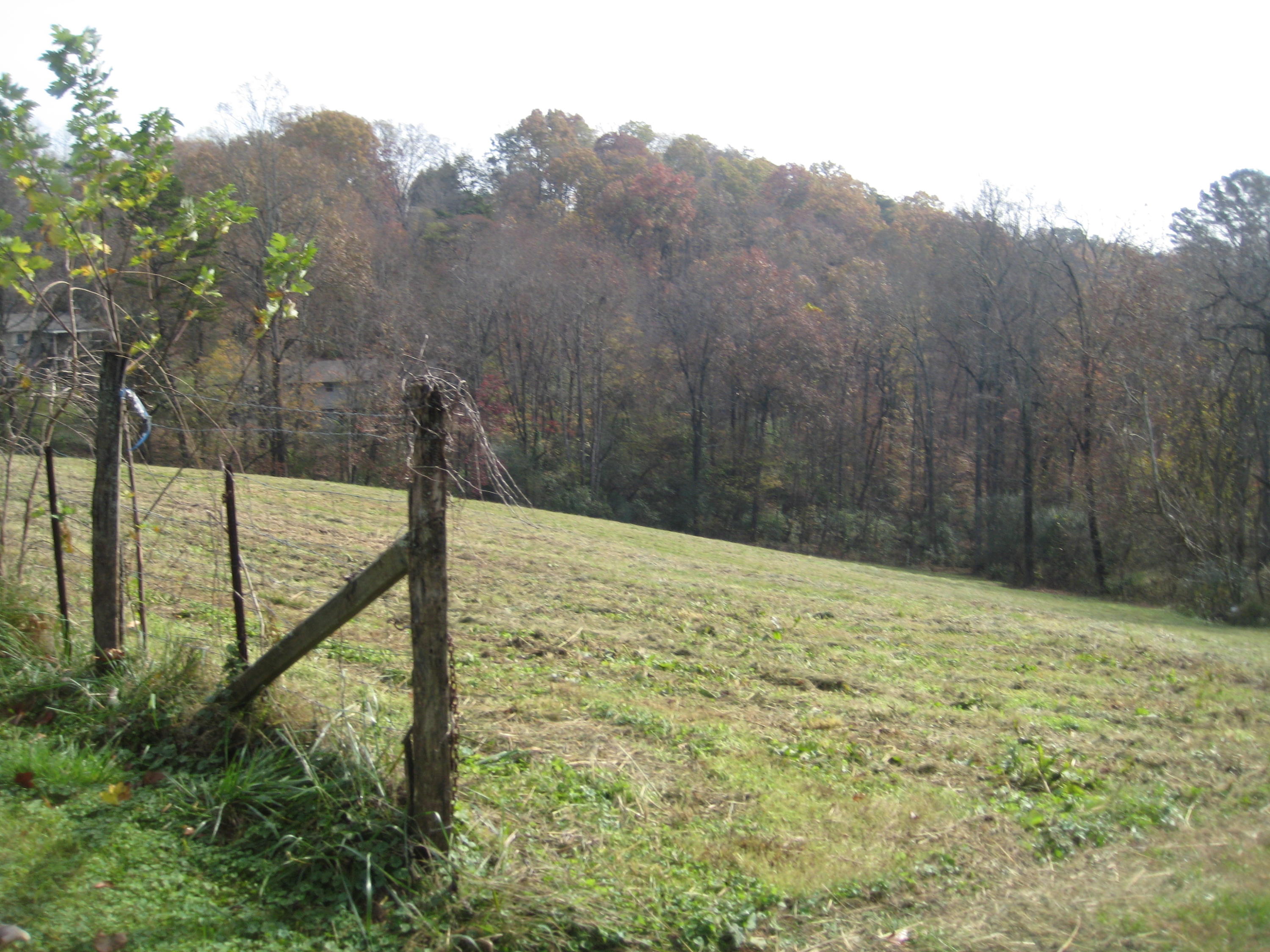 080.02 Farmer's Hollow Road Clinton, TN 37716 - Photo 3 of 4 IMG_0002