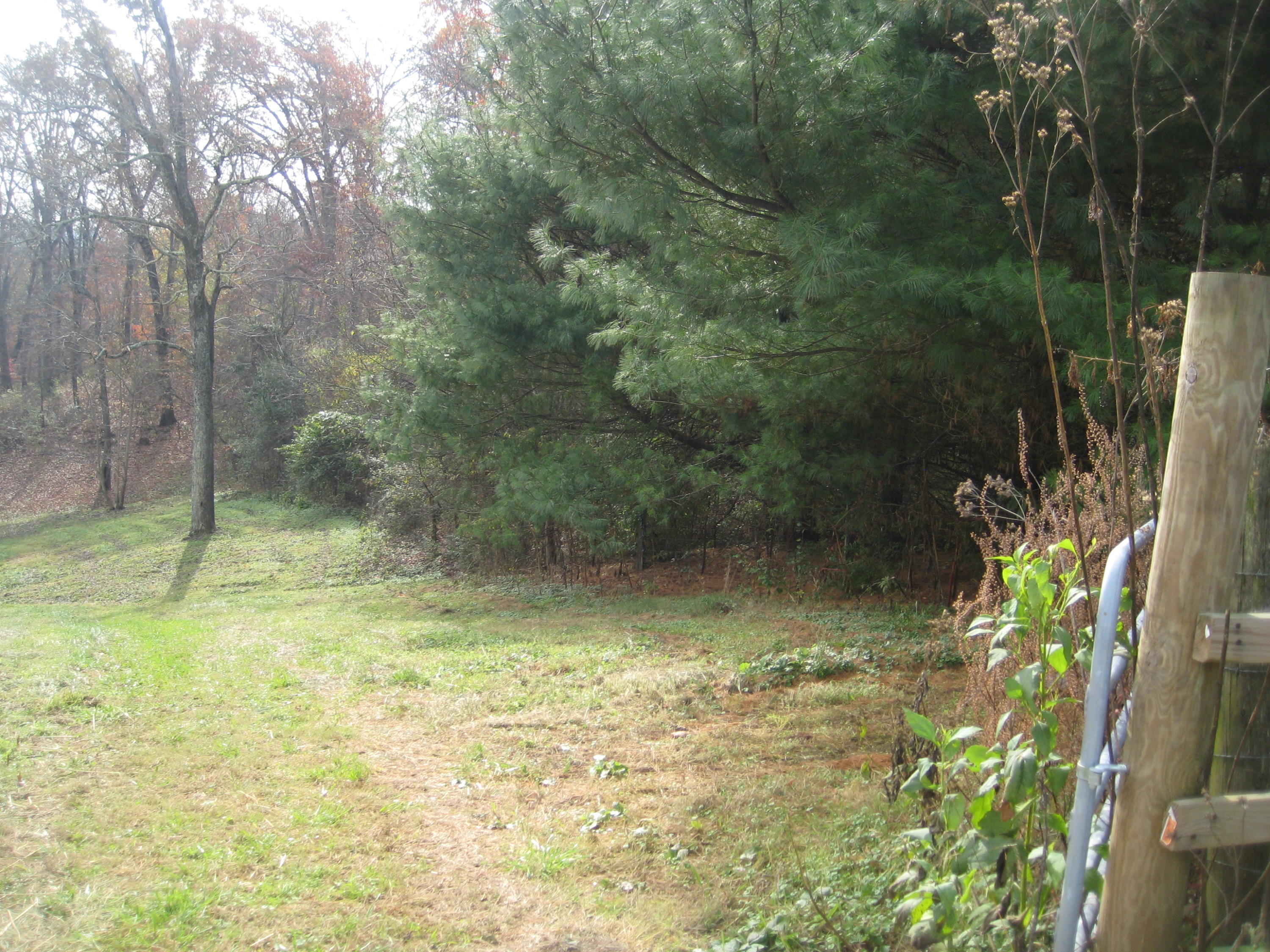 080.02 Farmer's Hollow Road Clinton, TN 37716 - Photo 4 of 4 IMG_0004