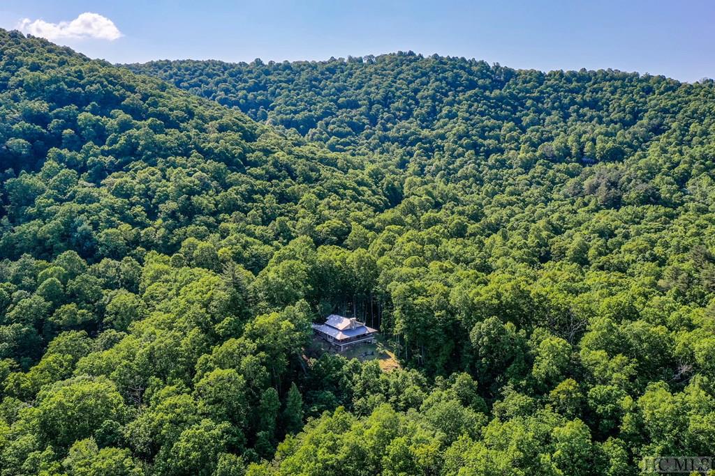 31 Red Maple Road Cullowhee, NC 28723 - Photo 9 of 57 Gallery Image 9