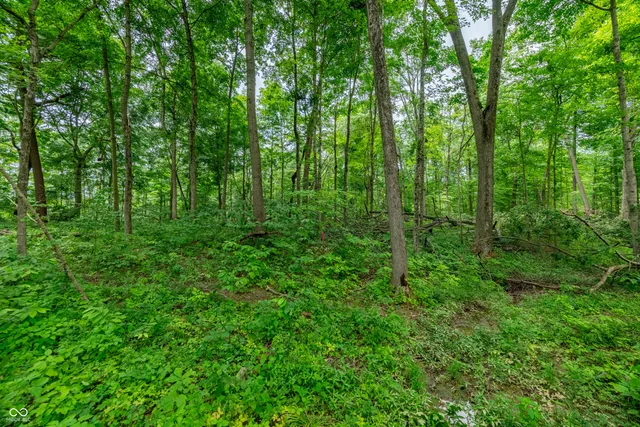 $87,500 | Tract 8 Hudson Hill Road, Gosport, IN 47460