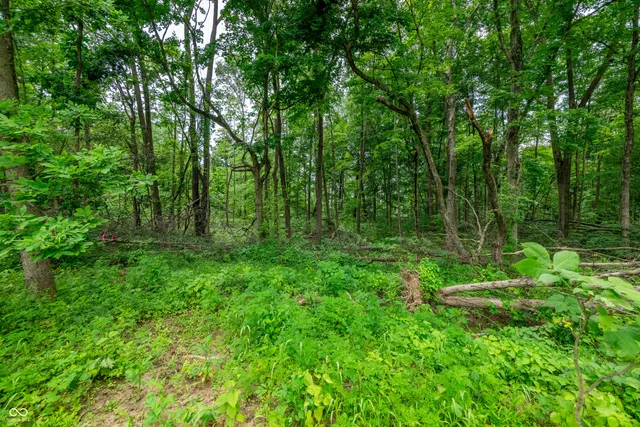 $87,500 | Tract 8 Hudson Hill Road, Gosport, IN 47460