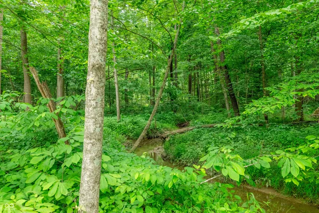 $87,500 | Tract 8 Hudson Hill Road, Gosport, IN 47460