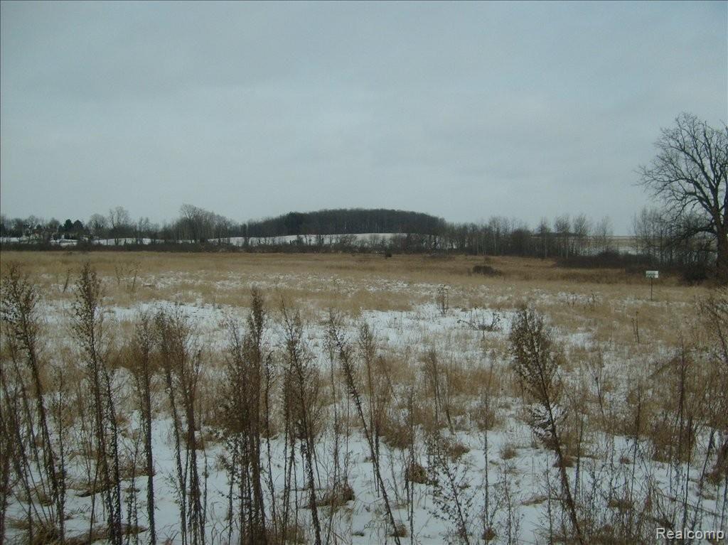 8812 Stow Road Webberville, MI 48892 - Photo 16 of 17 S6301905