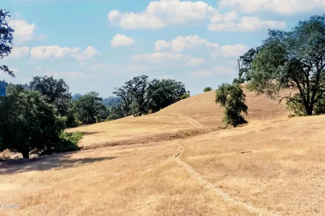 a view of a backyard of the house