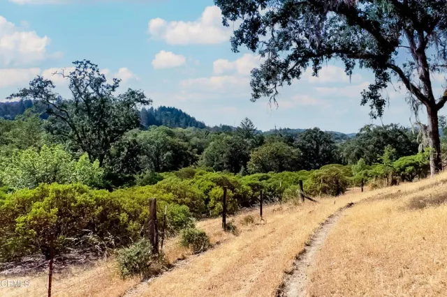 a view of a road with a yard
