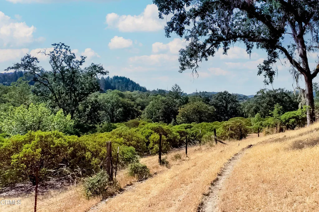 18300 Walker Road Willits, CA 95490 - Photo 18 of 22 a view of a park