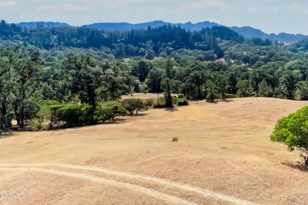 a view of a yard with an trees