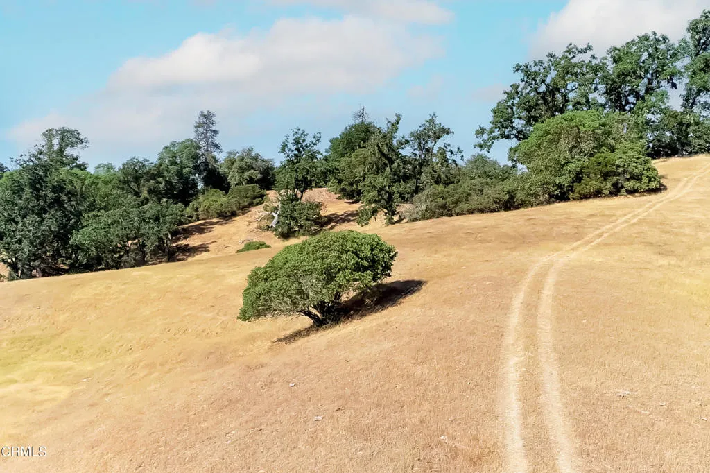 18300 Walker Road Willits, CA 95490 - Photo 20 of 22 a view of a road with a yard