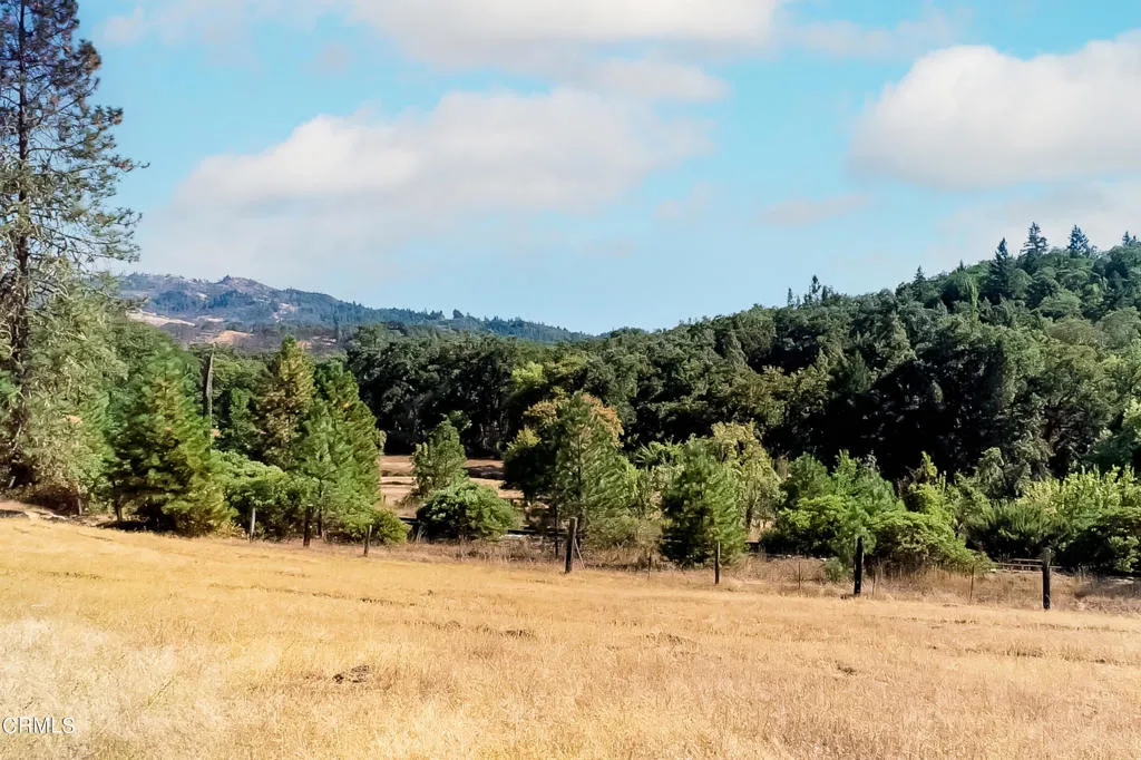 18300 Walker Road Willits, CA 95490 - Photo 21 of 22 a view of a yard with an trees