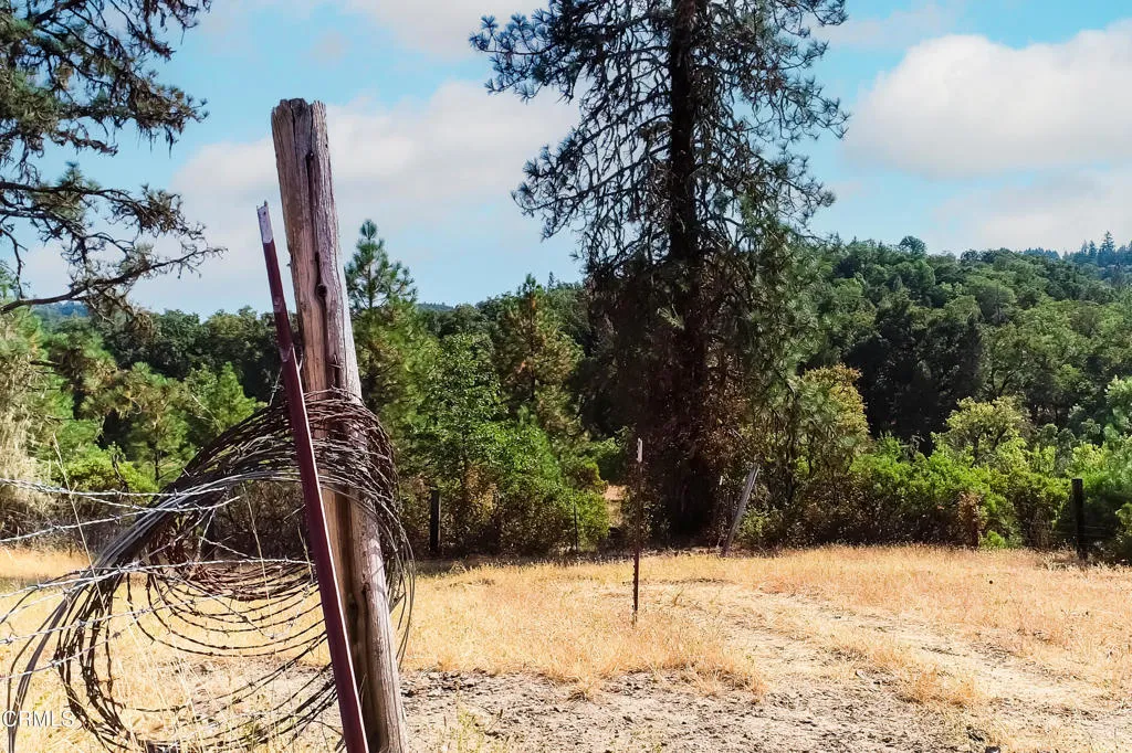 18300 Walker Road Willits, CA 95490 - Photo 22 of 22 a view of a backyard of the house