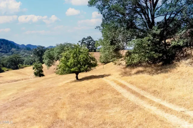 a view of a yard with trees