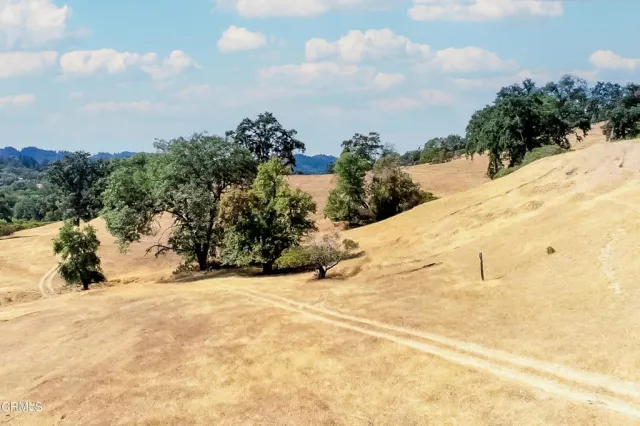 a view of a yard with a snow