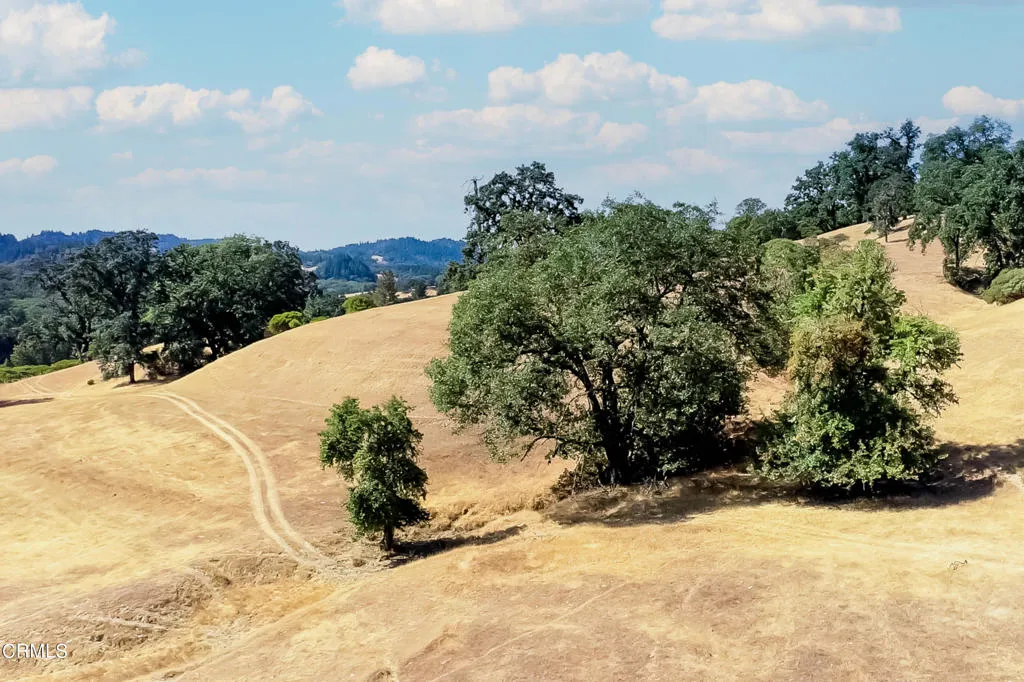 18300 Walker Road Willits, CA 95490 - Photo 8 of 22 a view of a yard with a snow