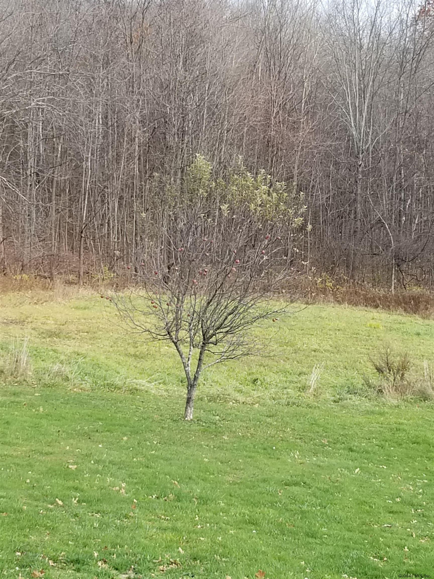 240 Beechwood Road Hoosick, NY 12090 - Photo 63 of 67 Photo 63