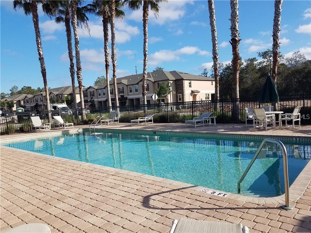 11919 Essington Street New Port Richey, FL 34654 - Photo 45 of 46 a view of a lake with palm trees