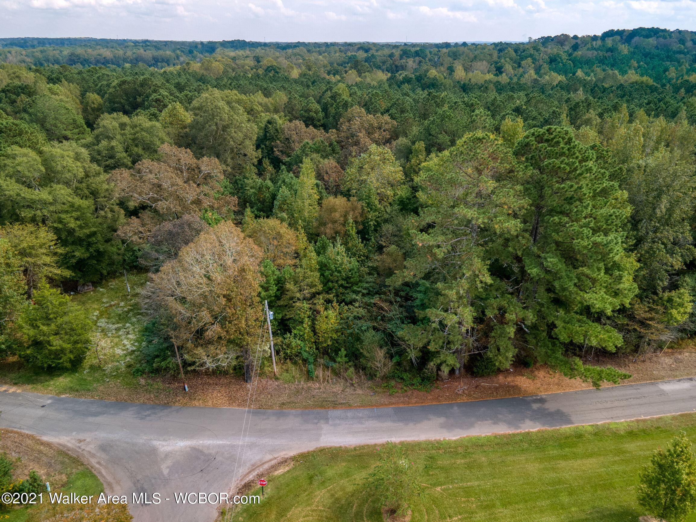 Wells Road Jasper, AL 35503 - Photo 1 of 3 Gallery Image 1