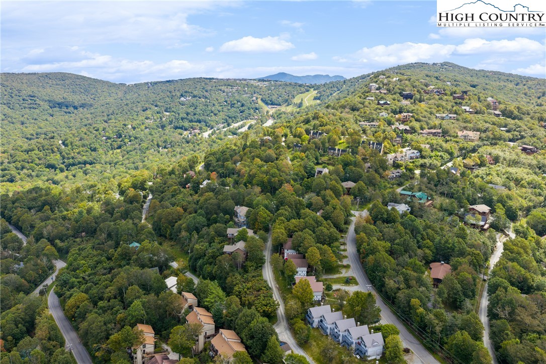 105 North Pinnacle Ridge Road, Unit 6 Beech Mountain, NC 28604 - Photo 35 of 46