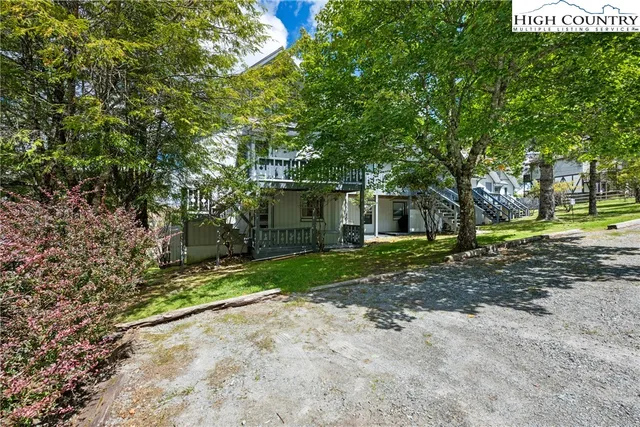 a view of a yard with plants and trees