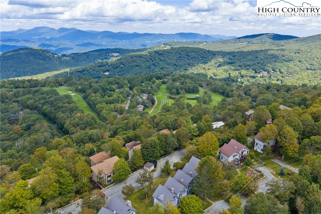 105 North Pinnacle Ridge Road, Unit 6 Beech Mountain, NC 28604 - Photo 36 of 46