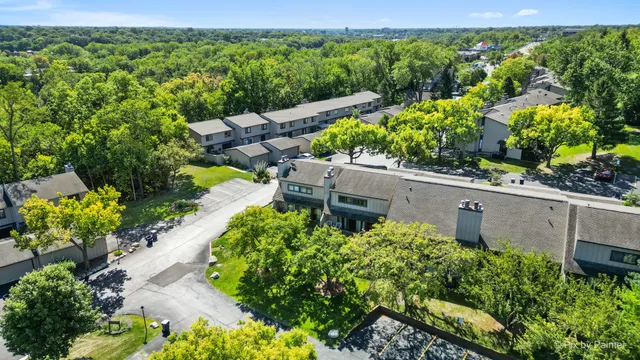 a view of a garden with a flower garden