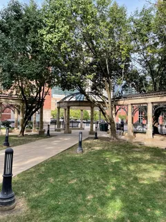 a park with large trees