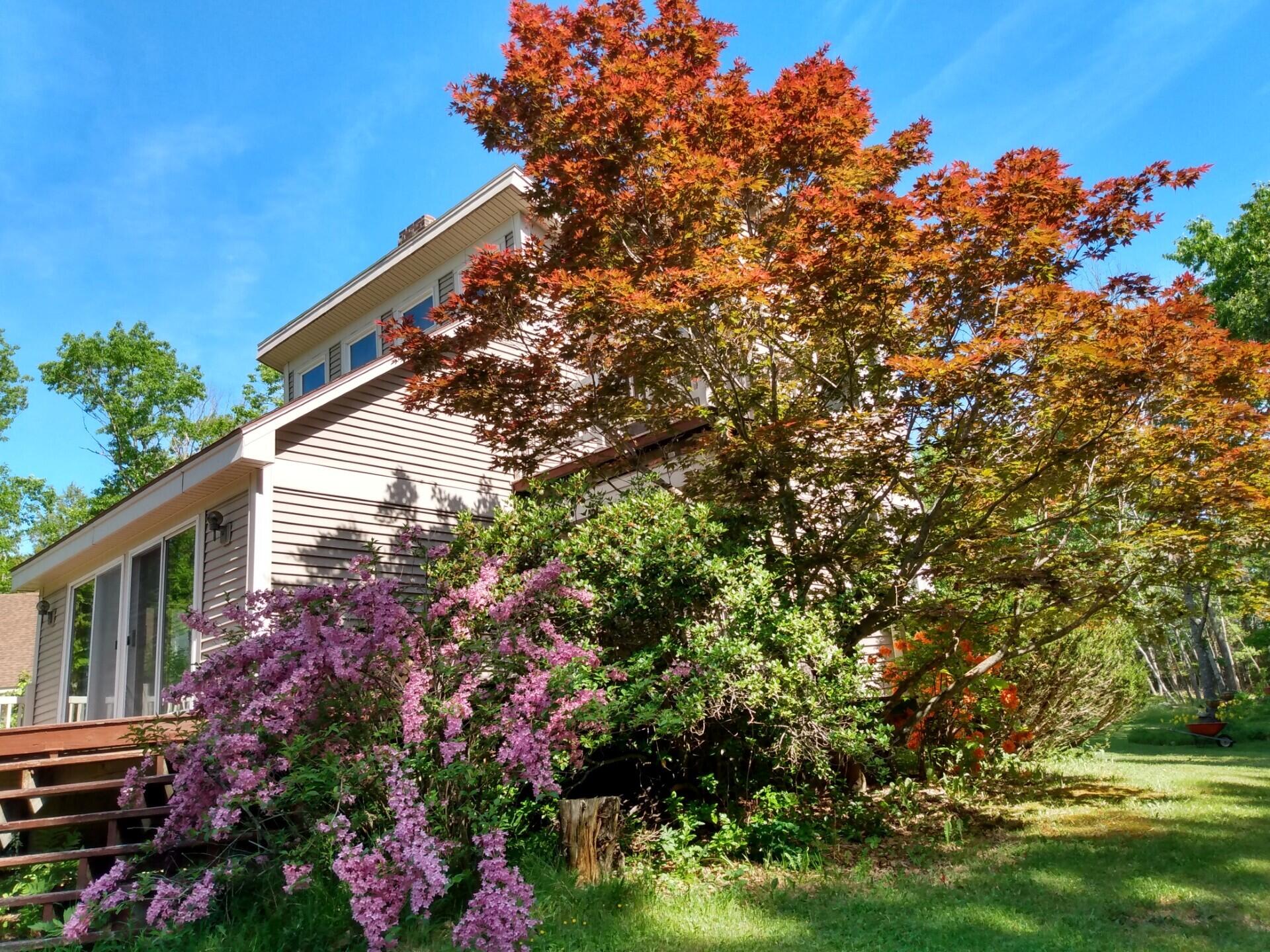 47 North Road Winterport, ME 04496 - Photo 7 of 56 spring2