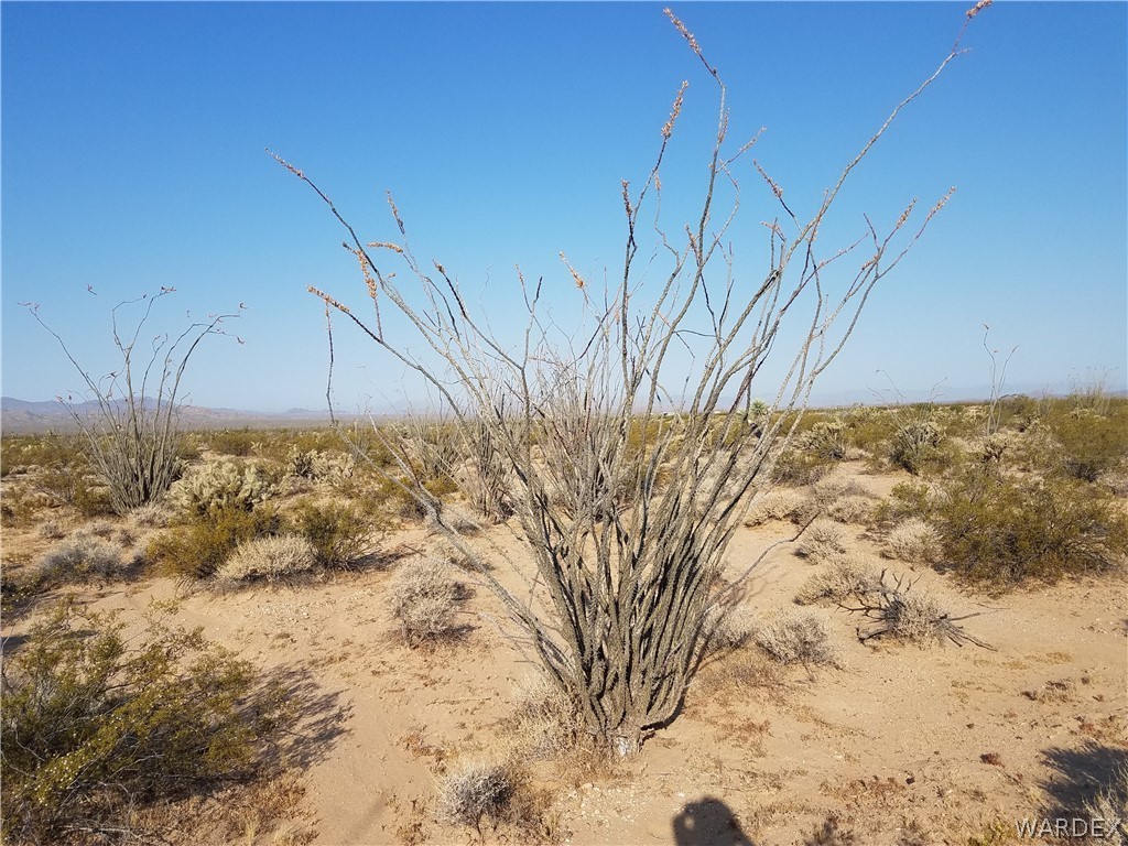 3998 South Butch Cassidy Road Yucca, AZ 86438 - Photo 11 of 21 a backyard of a house